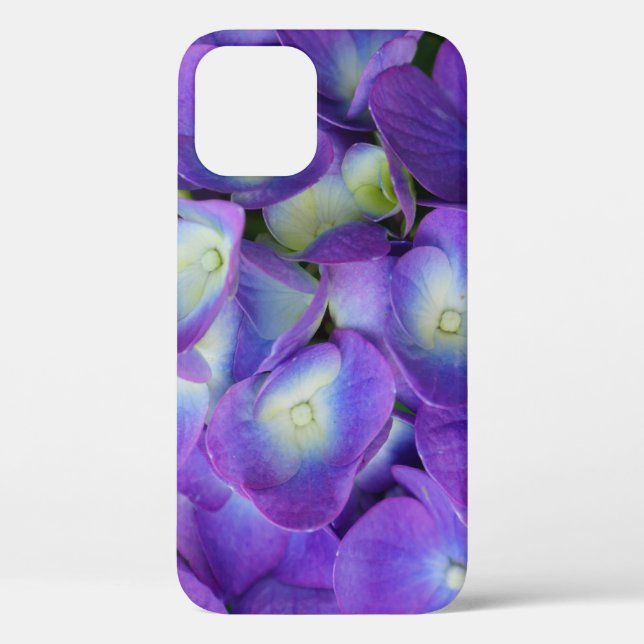 Schönheit eines Blue Hydrangea iPhone Case (Rückseite)