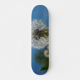 Schönheit eines Kronleuchters Skateboard