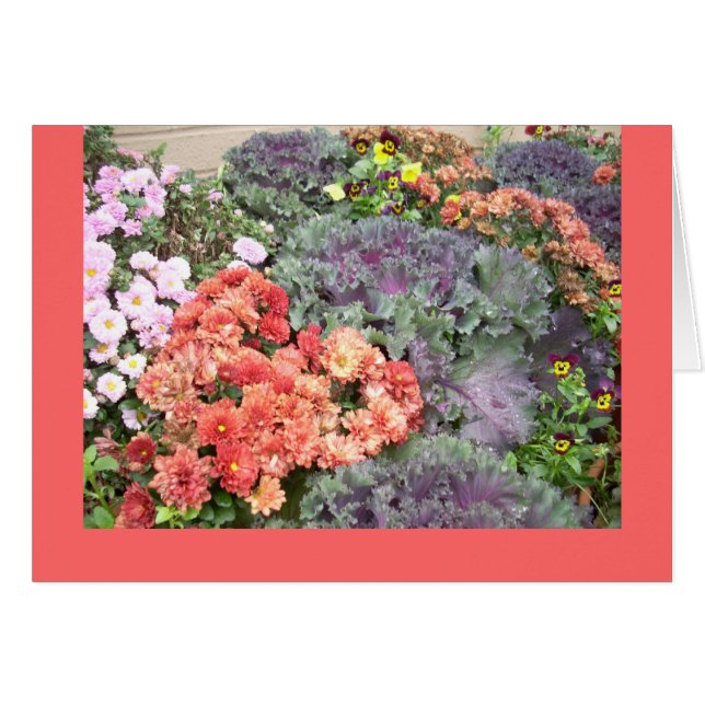 Schönheit im Herbst (Vorderseite (Horizontal))