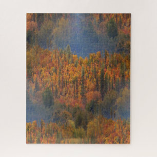 Schönheit im Herbst....
