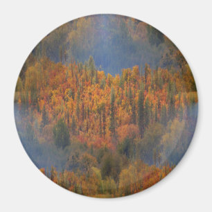 Schönheit im Herbst. Magnet