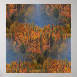 Schönheit im Herbst.... Poster