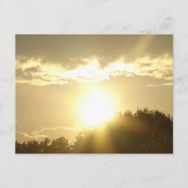 Schönheit im Sonnenaufgang Postkarte