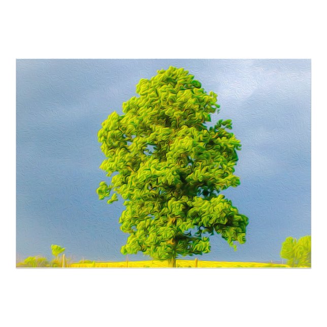 Schönheit im Sturm Fotodruck (Vorne)