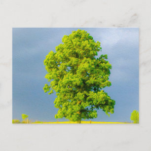 Schönheit im Sturm Postkarte