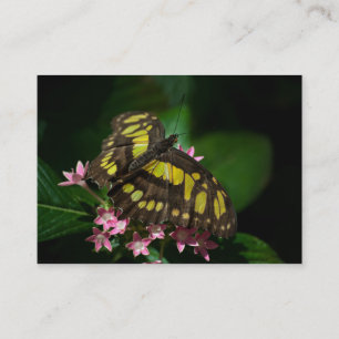 Schönheit in den Sternen Mini Print Visitenkarte