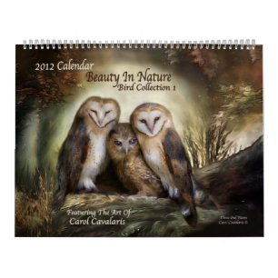 Schönheit in der Natur - Vogelsammlungskalender 2 Kalender