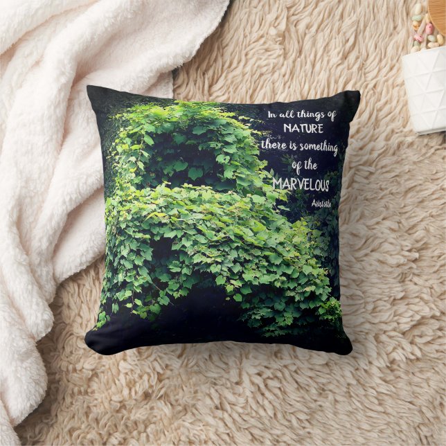 Schönheit in Naturreben Inspirationsquelle Zitat Kissen (Decke)