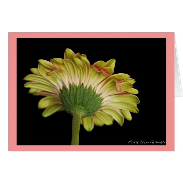 Schönheit innen und außen (Vorderseite (Horizontal))