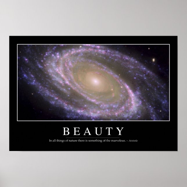 Schönheit: Inspiration Zitat 2 Poster (Vorne)