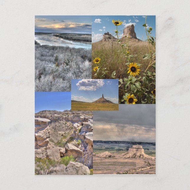 Schönheit Nebraska Postkarte (Vorderseite)