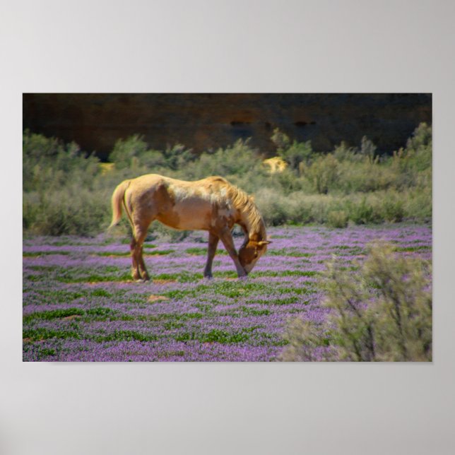 Schönheit Poster (Vorne)