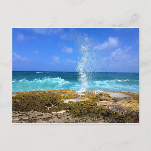 Schönheit Postkarte (Vorderseite)