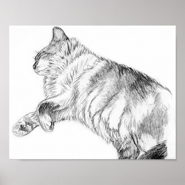 Schönheit schlafen poster (Vorne)