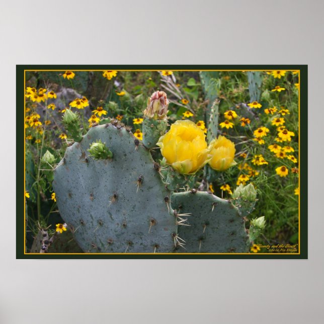 Schönheit und das Biest Poster (Vorne)