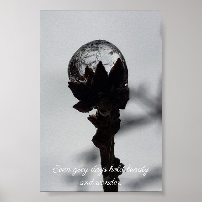 Schönheit und Staunen gefrorene Rindrop Poster (Vorne)