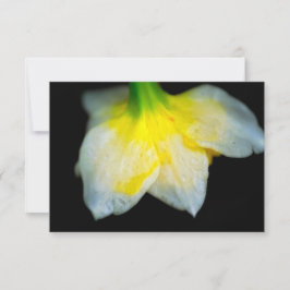 Schönheit unter dankeskarte