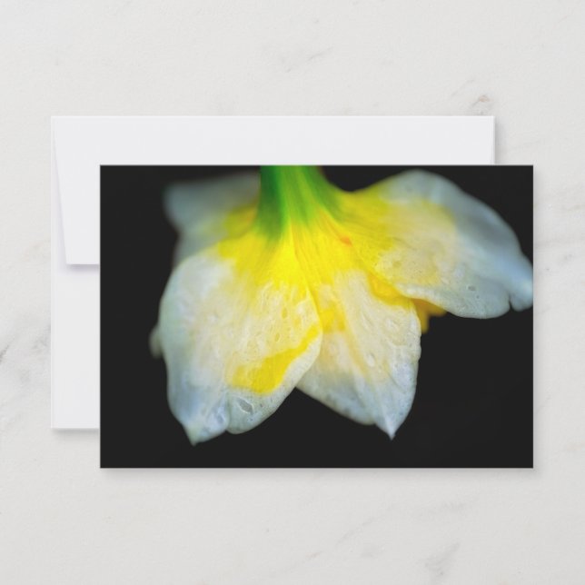 Schönheit unter dankeskarte (Vorderseite)