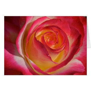 Schönheit von innen