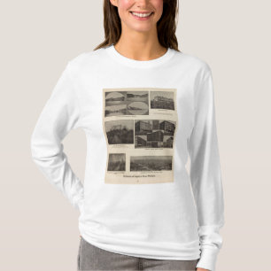 Schönheiten, Wohlstand, Tacoma, Wäsche T-Shirt