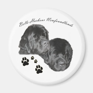 Schönheits-Hafen Newfoundlands Magnet