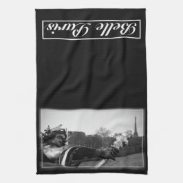 Schönheits-Paris-Geschirrtuch Geschirrtuch
