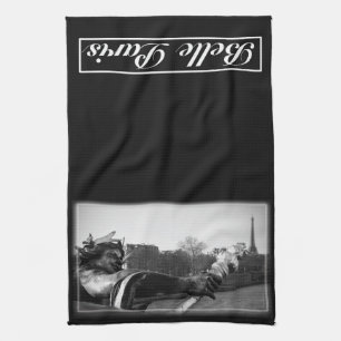 Schönheits-Paris-Geschirrtuch Geschirrtuch