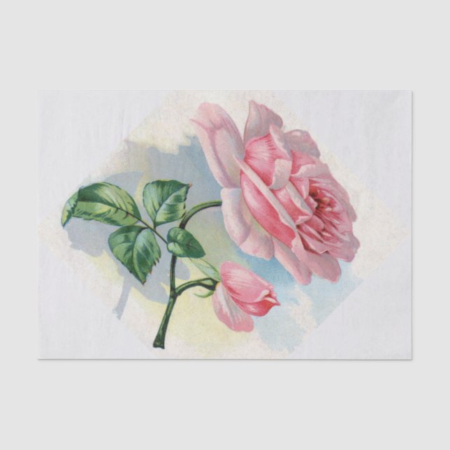 Schönheits-Rosen-Rosa auf grauem Seidenpapier (Vorderseite)