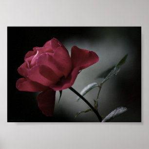 Schönheitspresse der Liebe Poster