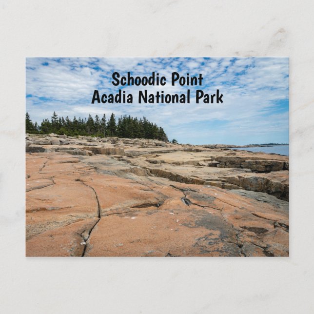 Schoodic Point in Acadia National Park in Maine Postkarte (Vorderseite)