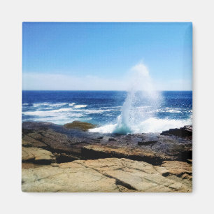 Schoodic Point Magnet