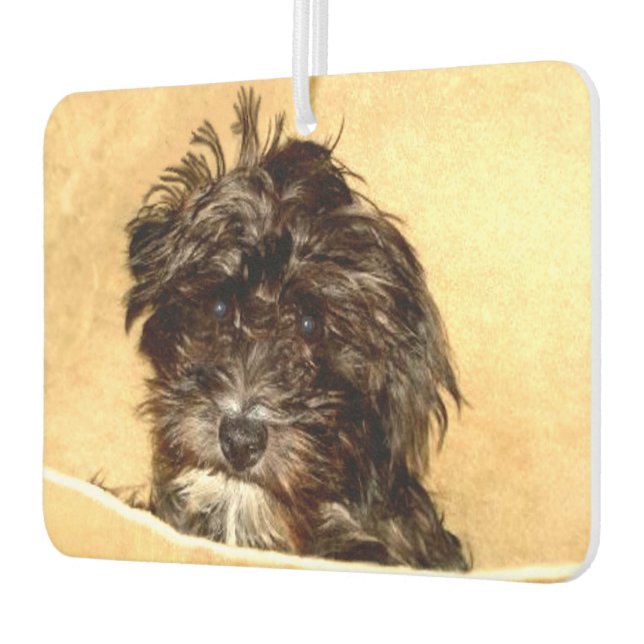 Schoodle Dog Autolufterfrischer (Links)