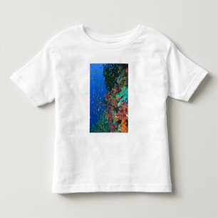 Schooling Fairy Basslets (Pseudanthias) Kleinkind T-shirt