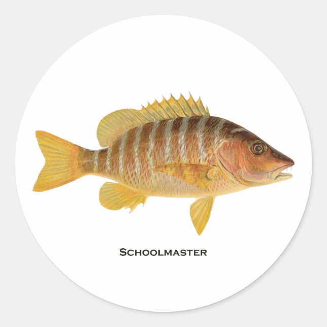 Schoolmaster Fish-Logo Runder Aufkleber (Vorderseite)