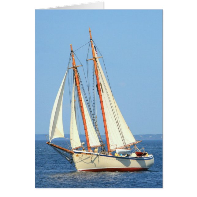 Schooner American Eagle voile (Devant)