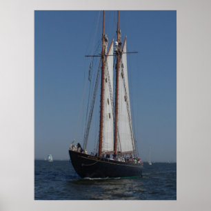 Schooner auf Parade Poster