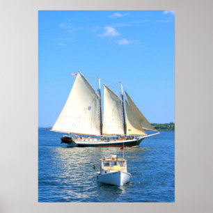Schooner- und Hummerbootsplakat Poster