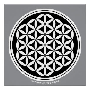 Schöpfungsharmonie – Symbol der heiligen Geometrie Poster