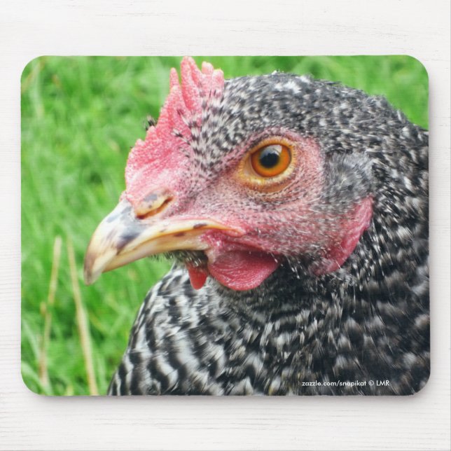 Schotte-graue Henne-Huhn - Geflügel Mousepad (Vorne)
