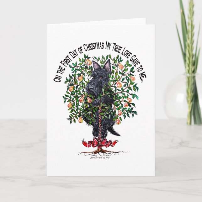 Schotte in einem Birnenbaum Feiertagskarte (Vorderseite)