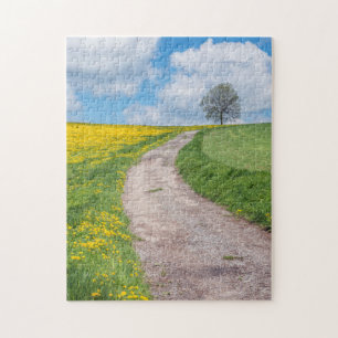 Schotterstraße und Baum