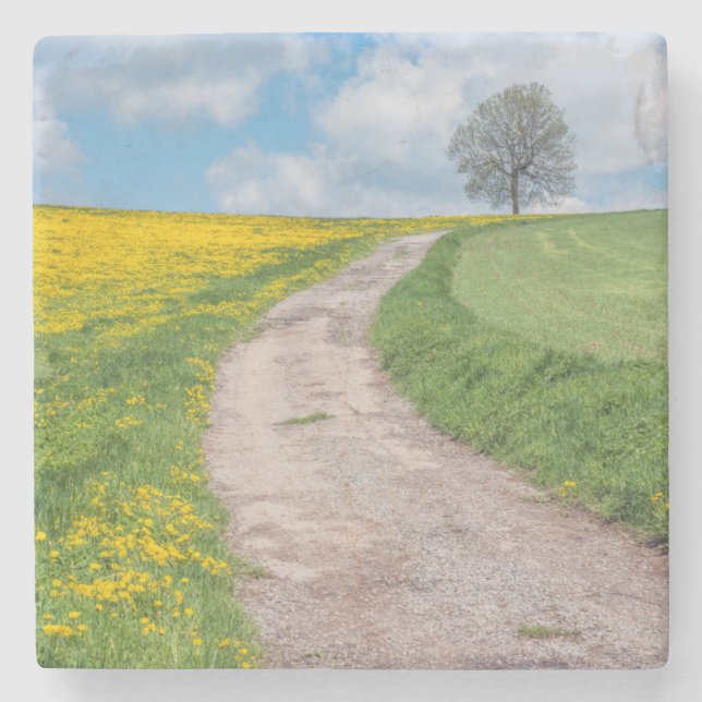 Schotterstraße und Baum Steinuntersetzer (Vorderseite)