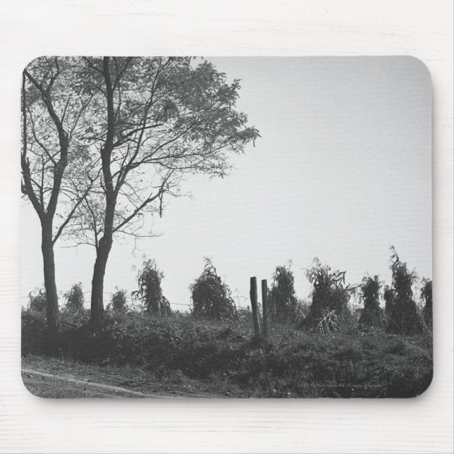 Schotterweg durch Feld B&W Mousepad (Vorne)