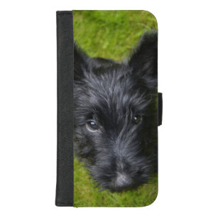 Schottisch-Terrier-Welpe iPhone 8/7 Plus Geldbeutel-Hülle