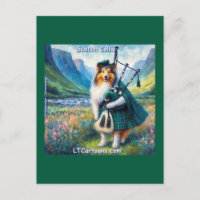 Schottische Collie-Serenade – Dudelsack und Tartan