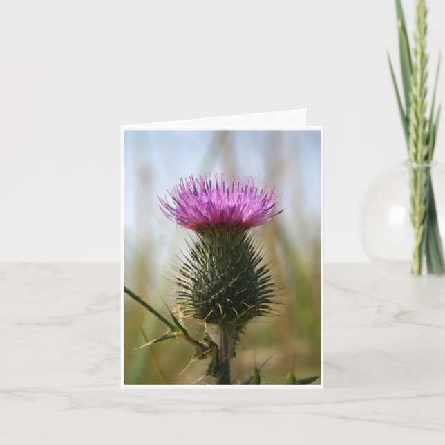 Schottische Distel Notecard Karte (Vorderseite)