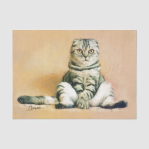 Schottische Folkkatze Sitzportrait Seidenpapier