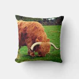 Schottische Highlander-Kuh Kissen