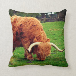 Schottische Highlander-Kuh Kissen