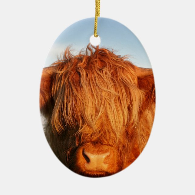 Schottische Hochland-Kuh - Schottland Keramik Ornament (Vorne)